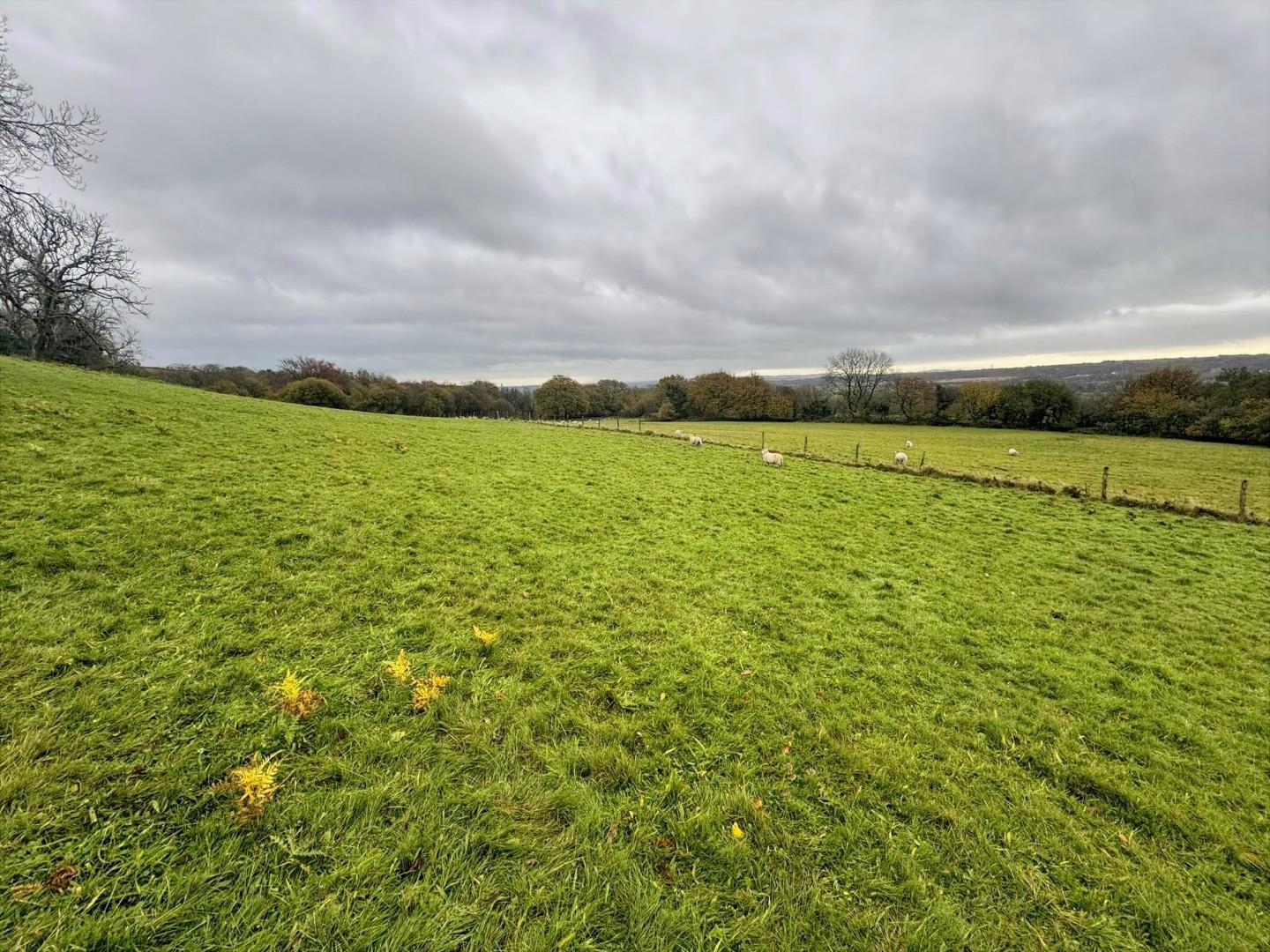 Approx. 7.95 acres of agricultural land, Heol Laethog Bryncethin, Bridgend CF32 9JB